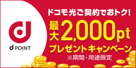 dポイント最大2,000pt還元