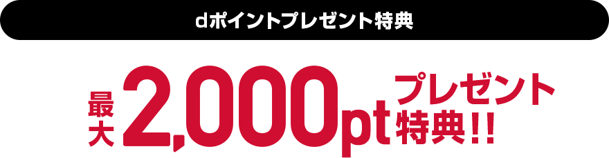 dポイントプレゼント特典