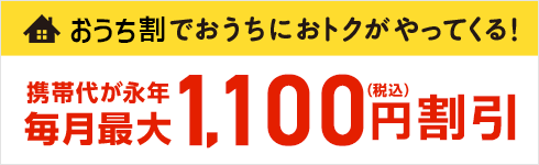 【公式】おうち割 光セット