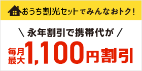 【公式】おうち割 光セット